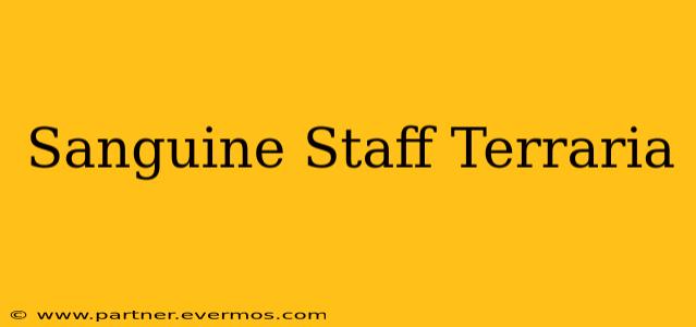 Sanguine Staff Terraria
