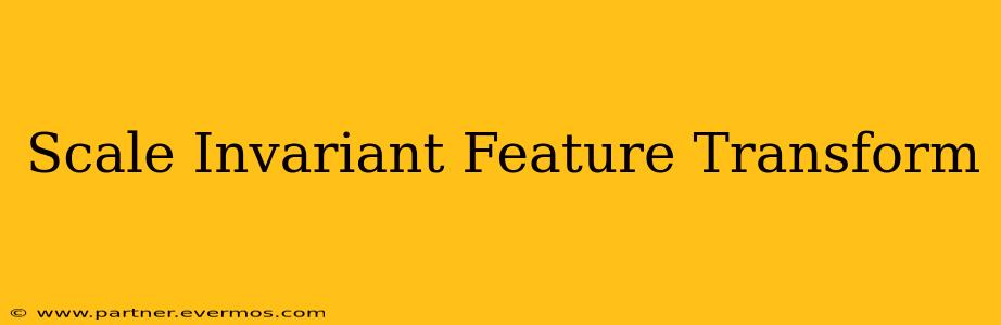 Scale Invariant Feature Transform