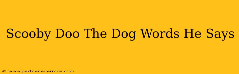 Scooby Doo The Dog Words He Says