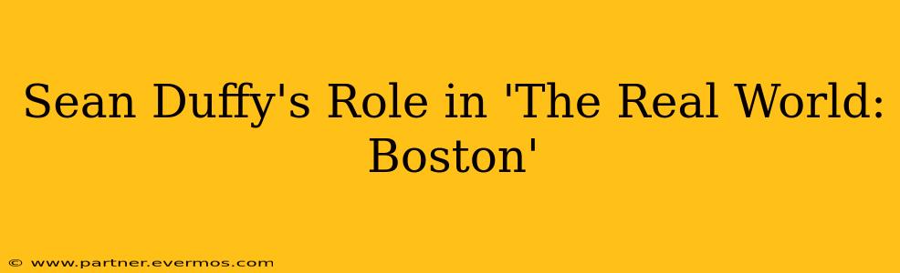 Sean Duffy's Role in 'The Real World: Boston'