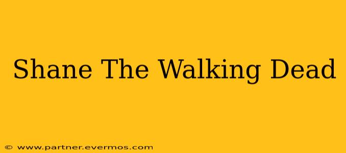 Shane The Walking Dead