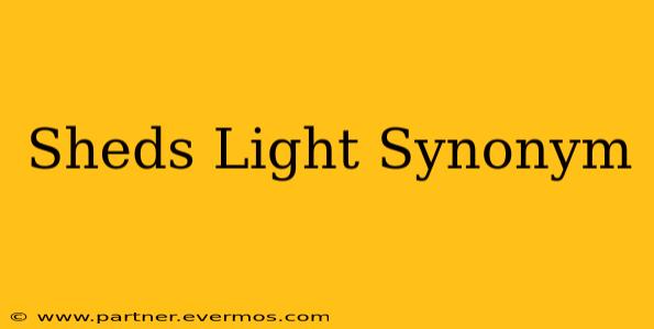 Sheds Light Synonym