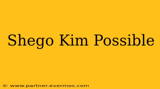 Shego Kim Possible