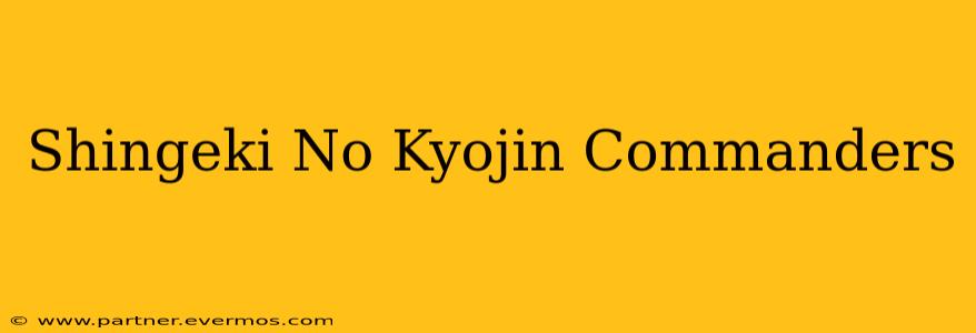 Shingeki No Kyojin Commanders
