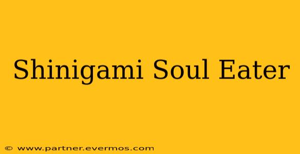 Shinigami Soul Eater