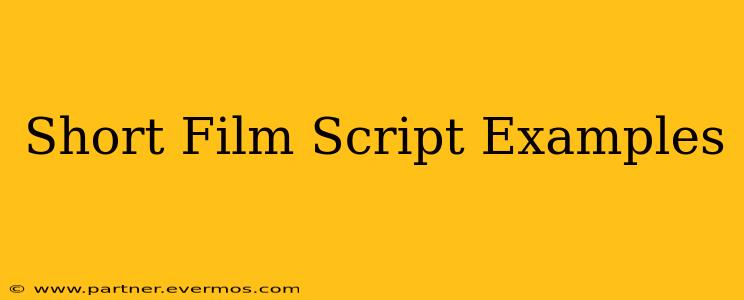 Short Film Script Examples