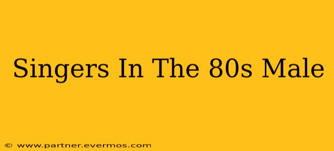 Singers In The 80s Male