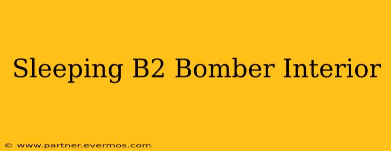 Sleeping B2 Bomber Interior