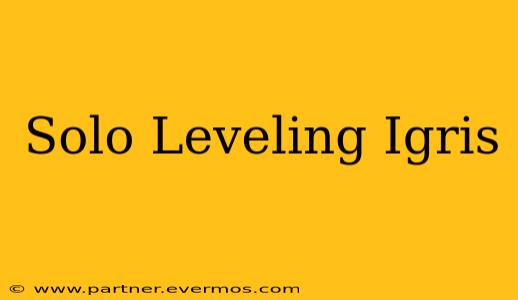Solo Leveling Igris