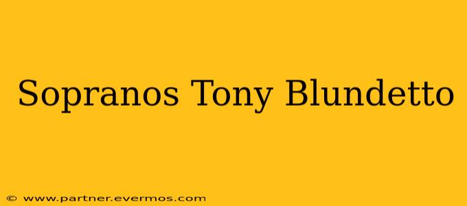 Sopranos Tony Blundetto