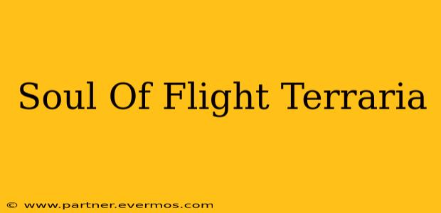 Soul Of Flight Terraria