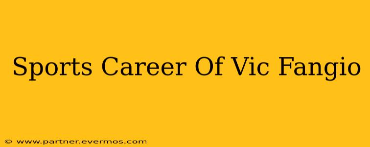 Sports Career Of Vic Fangio
