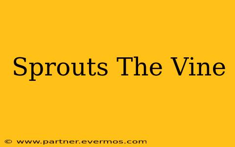 Sprouts The Vine