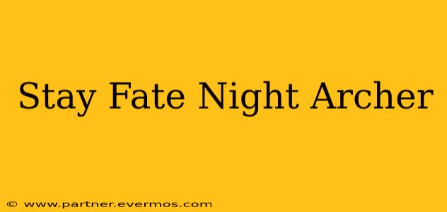 Stay Fate Night Archer