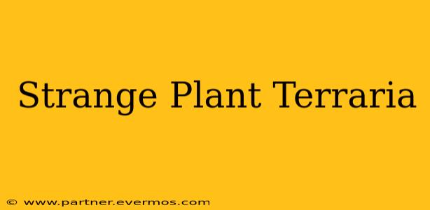 Strange Plant Terraria