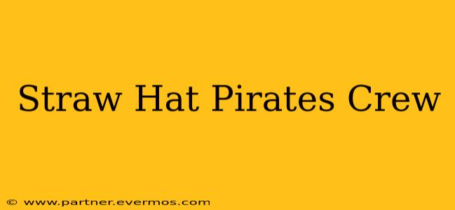 Straw Hat Pirates Crew