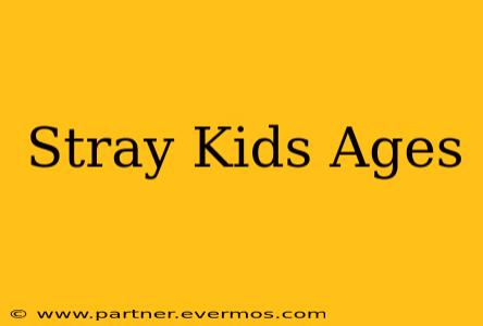 Stray Kids Ages