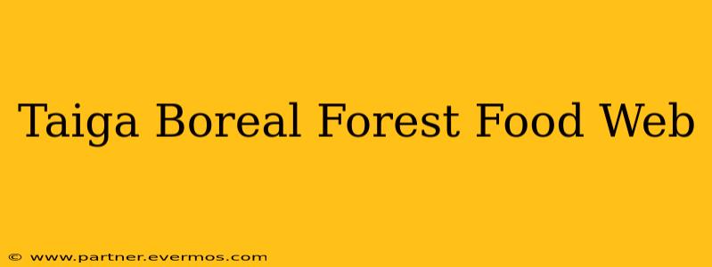 Taiga Boreal Forest Food Web