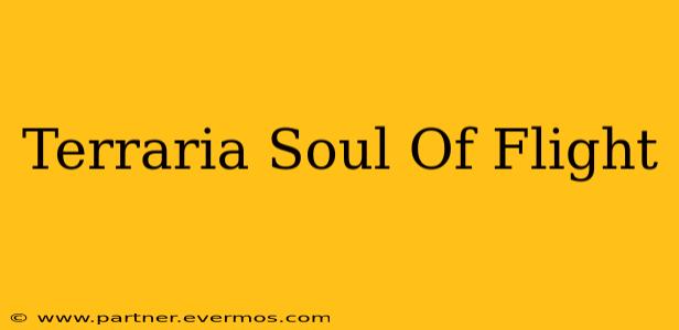 Terraria Soul Of Flight