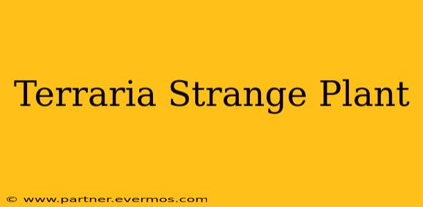 Terraria Strange Plant