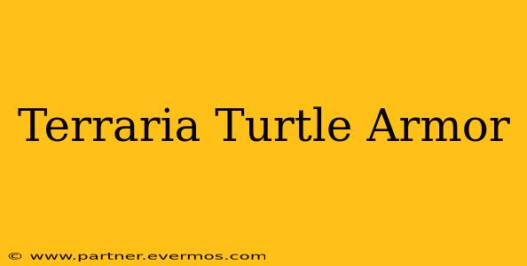 Terraria Turtle Armor