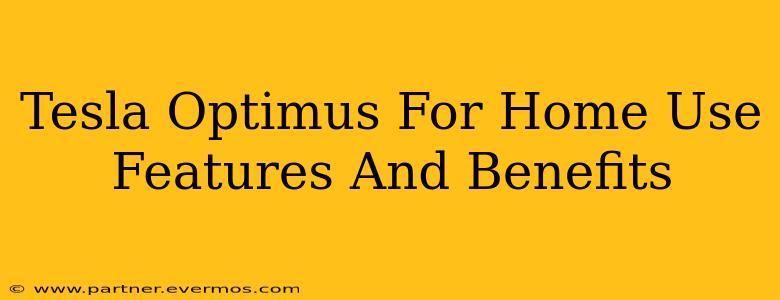 Tesla Optimus For Home Use Features And Benefits