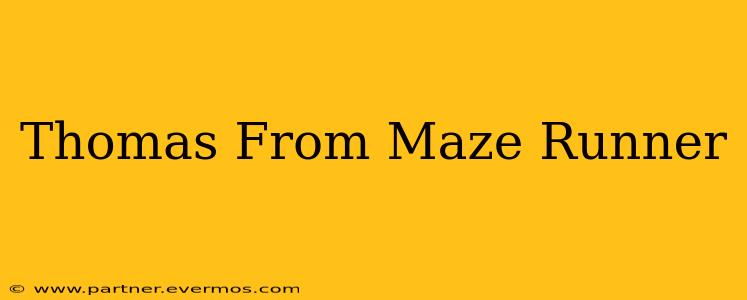 Thomas From Maze Runner