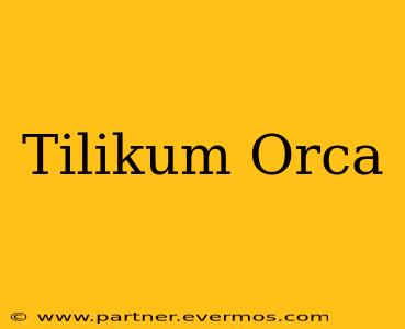 Tilikum Orca