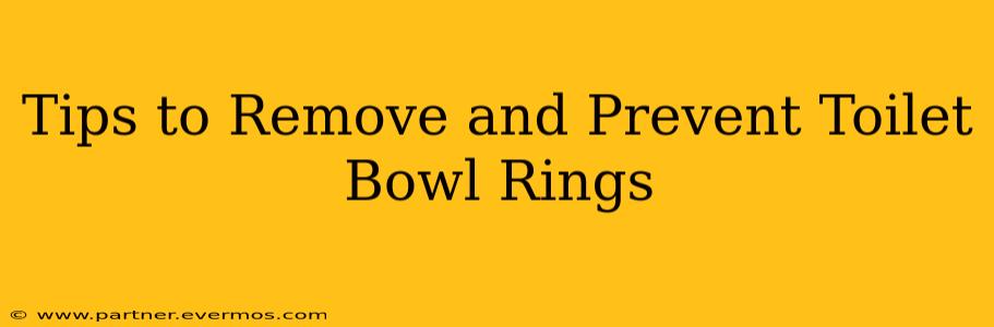 Tips to Remove and Prevent Toilet Bowl Rings