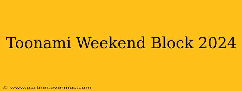 Toonami Weekend Block 2024