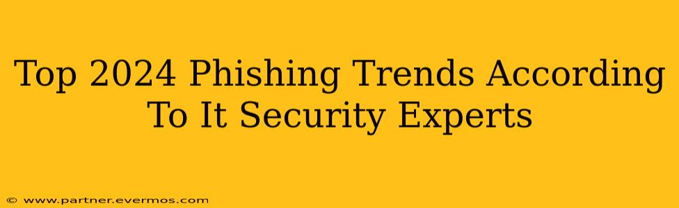 Top 2024 Phishing Trends According To It Security Experts