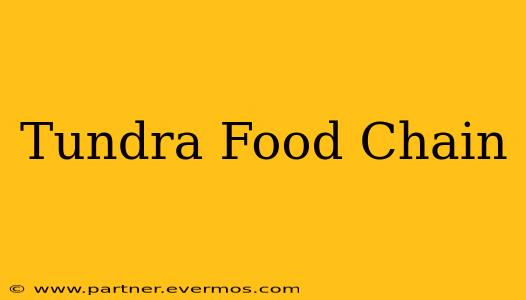 Tundra Food Chain