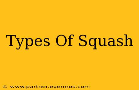 Types Of Squash
