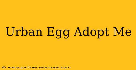 Urban Egg Adopt Me
