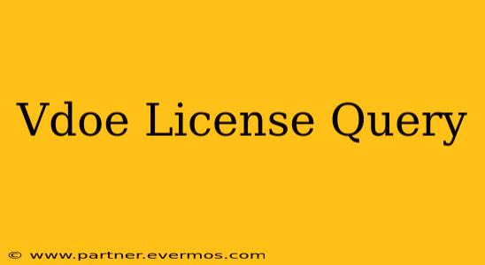 Vdoe License Query