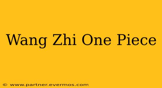 Wang Zhi One Piece
