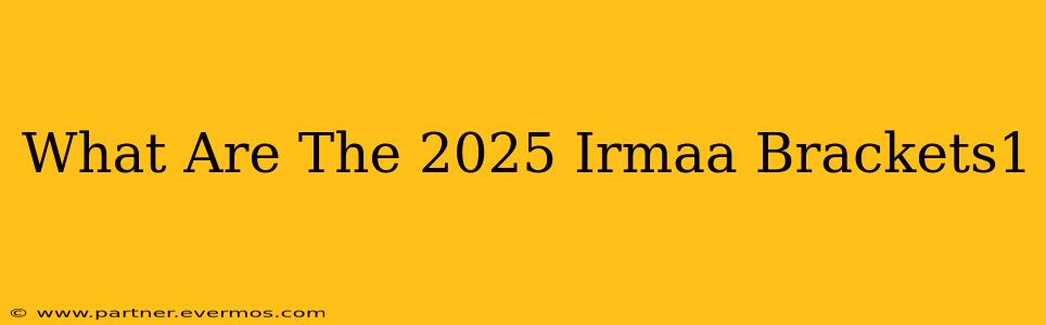 What Are The 2025 Irmaa Brackets1