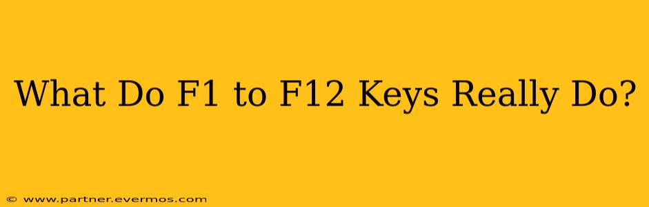 What Do F1 to F12 Keys Really Do?