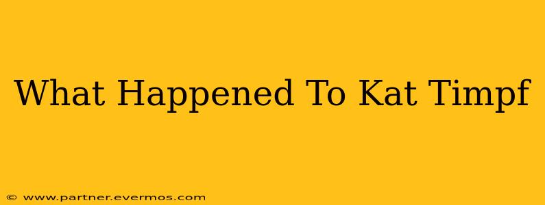 What Happened To Kat Timpf