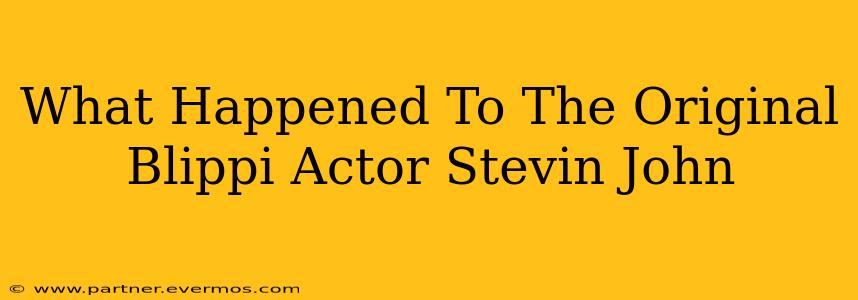 What Happened To The Original Blippi Actor Stevin John