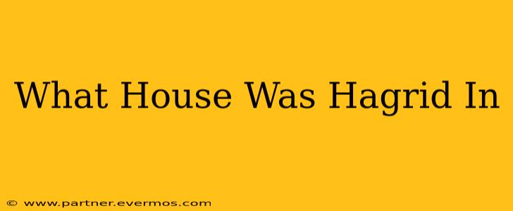 What House Was Hagrid In