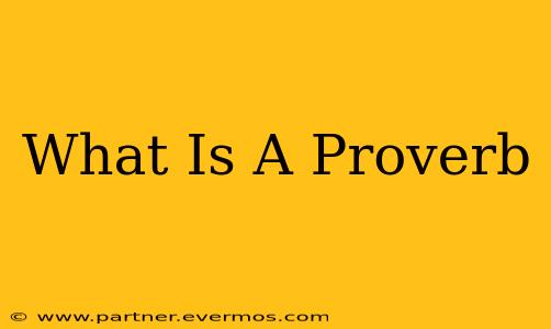 What Is A Proverb