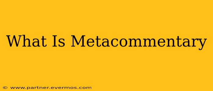 What Is Metacommentary