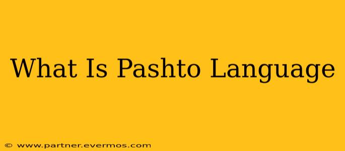 What Is Pashto Language