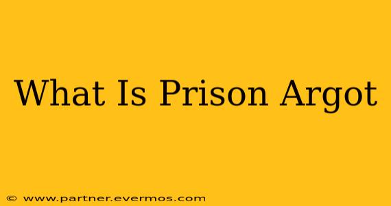 What Is Prison Argot