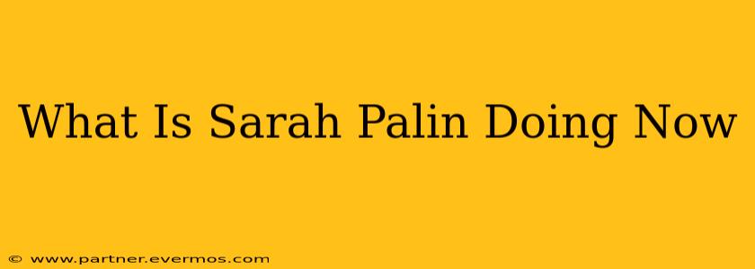 What Is Sarah Palin Doing Now
