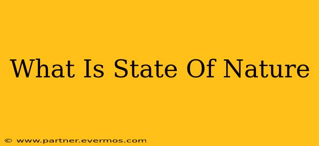 What Is State Of Nature