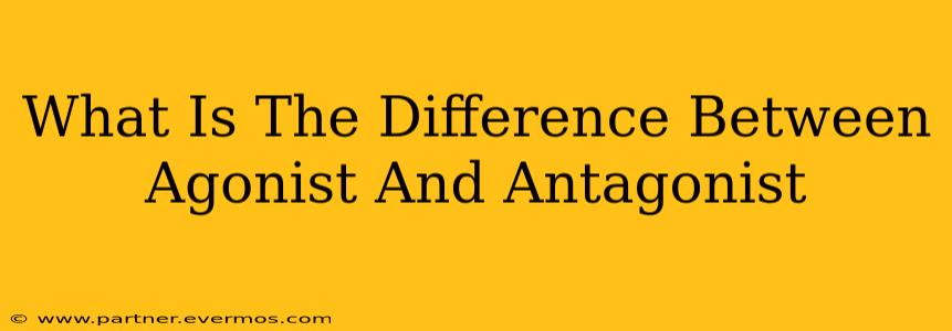 What Is The Difference Between Agonist And Antagonist