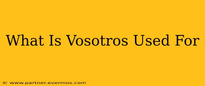 What Is Vosotros Used For
