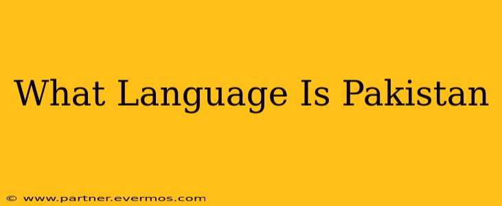 What Language Is Pakistan
